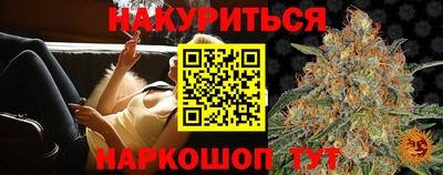 mdpv Краснознаменск