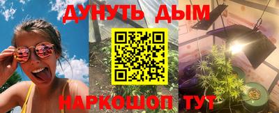 mdpv Краснознаменск